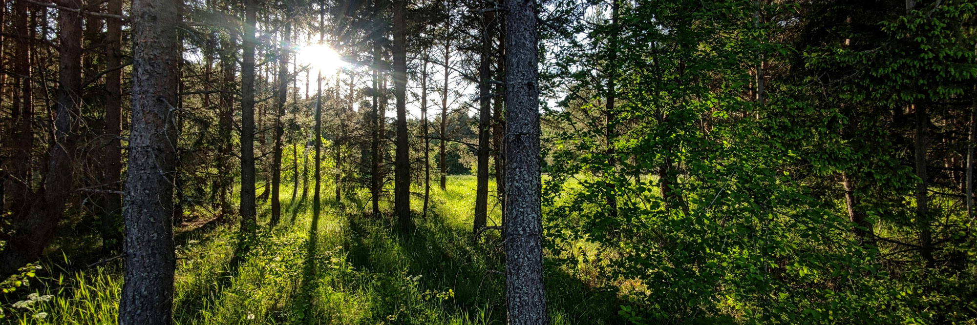 Miljö och CSR-arbete